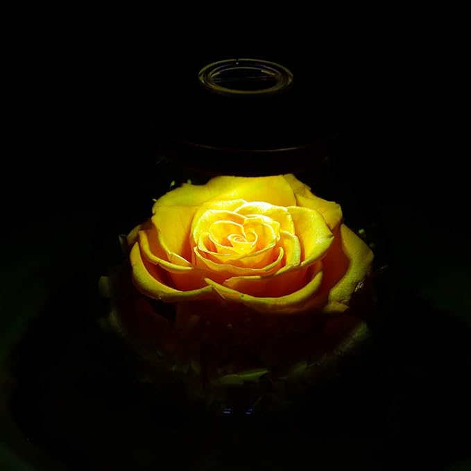 Preserved Real Roses with Colorful Mood Light Wishing Bottle,Eternal Rose,Never Withered Flowers, a Gifts for Women 4.3inch 1pcs (Yellow)