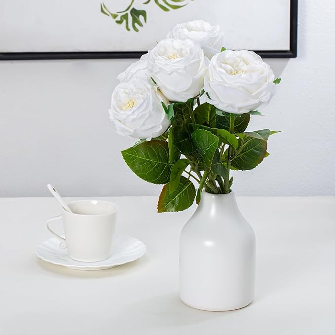 DuHouse 5Pcs Silk Roses Fake White Roses with Stems Real Touch Rose Artificial Flowers for Arrangement Wedding Party Home Decoration