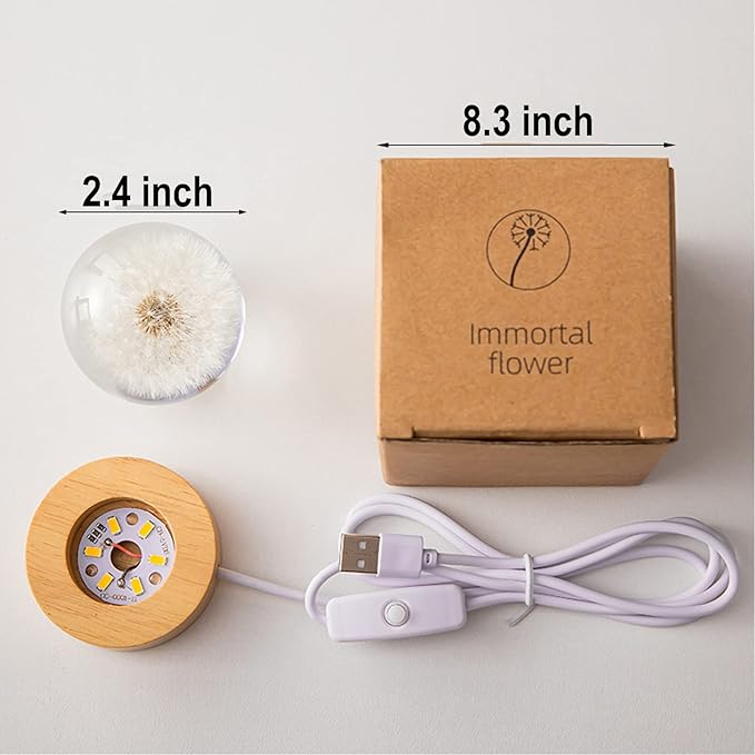 Flower Crystal Ball Night Light, 2.4 inch Glass Ball Night Lamp with Woodern Base (Yellow Daisy)