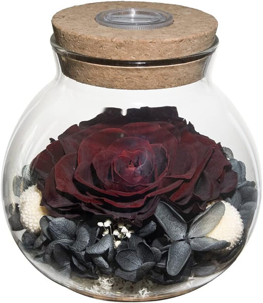 Preserved Real Roses with Colorful Mood Light Wishing Bottle,Eternal Rose,Never Withered Flowers,for Bedroom Party Table Decor, Anniversary,Valentine's,Mother's Day,a Gifts for Women (Burgundy)