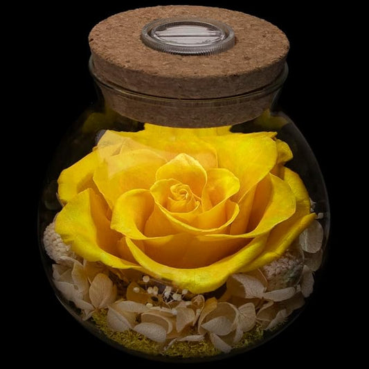Preserved Real Roses with Colorful Mood Light Wishing Bottle,Eternal Rose,Never Withered Flowers, a Gifts for Women 4.3inch 1pcs (Yellow)