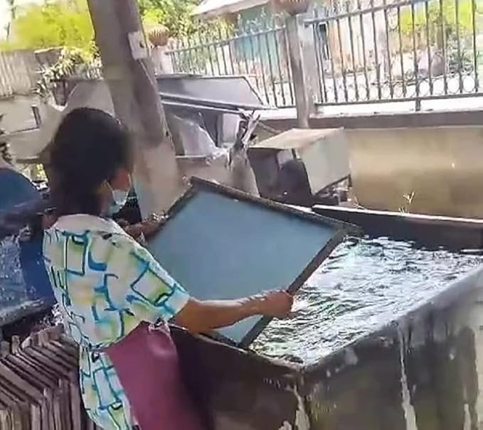 100 pcs Mini Flowers Mulberry Paper Flowers 13-15 mm Scrapbook Craft Card DIY Craft Using for Crafts, Bouquets, Scrapbooks, Decorations, Greeting Cards Artificial Flowers (Mixed Pastel Colors)