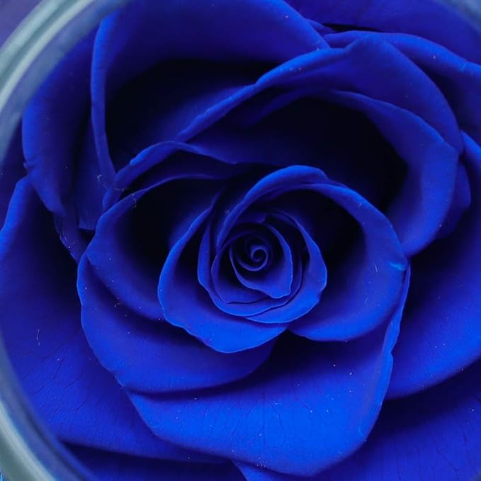 Preserved Real Roses with Colorful Mood Light Wishing Bottle, Eternal Rose,Never Withered Flowers, Table Decor,Christmas Anniversary Valentine's, Blue 4.3inch, 1pcs