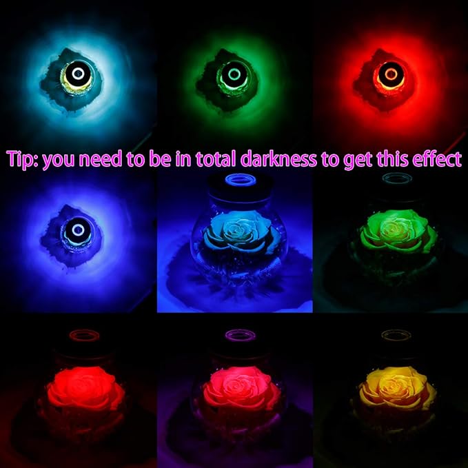 Preserved Real Roses with Colorful Mood Light Wishing Bottle,Eternal Rose,Never Withered Flowers, a Gifts for Women 4.3inch 1pcs (Yellow)