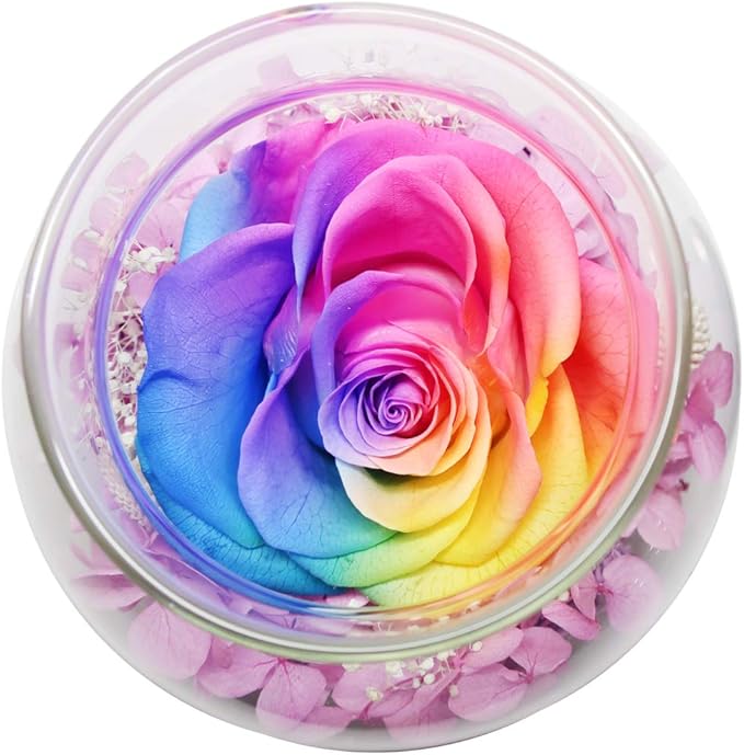 Preserved Real Roses with Colorful Mood Light Wishing Bottle,Eternal Rose,Never Withered Flowers,for Bedroom Party Table Decor, Christmas Anniversary,Valentine's,Mother's Day, (Multi)