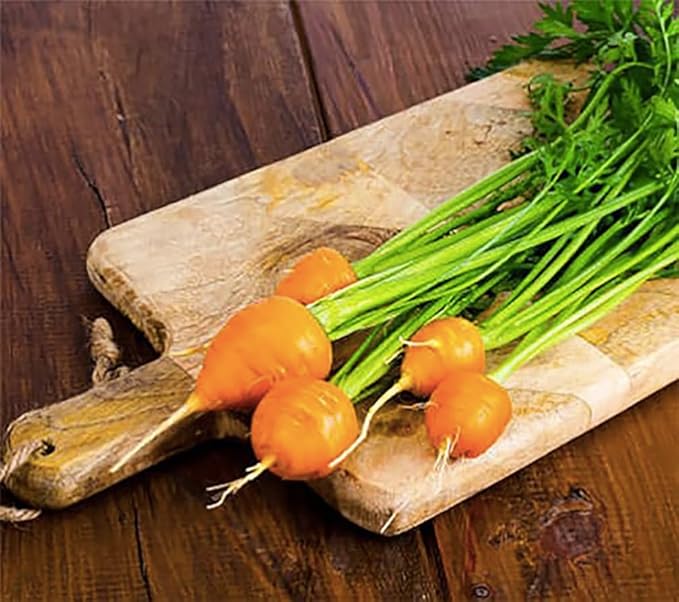 Round Baby Parisian Carrots Seeds A Delicacy Prised by Gourmet Restaurants Delicious Carrot Vegetable - 1000 Seeds