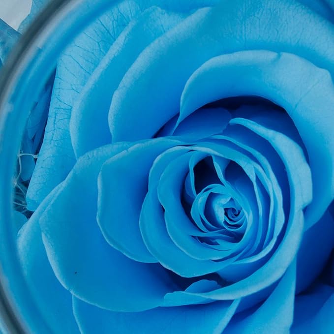 Preserved Real Roses with Colorful Mood Light Wishing Bottle,Eternal Rose,Never Withered Flowers, Christmas Anniversary Valentine's Mother's Day,a Gifts for Women 4.3inch 1pcs(Light Blue)