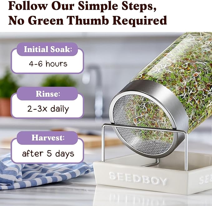 Seedboy Organic Alfalfa Seeds for Sprouting - Non-GMO, USDA Organic Microgreens Sprouting Seeds Mix - Makes 8 Quarts of Sprouts, 24 Servings (8 oz) (Alfalfa)