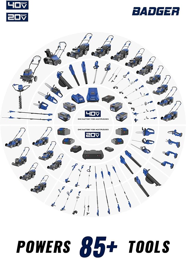 WILD BADGER POWER Pole Saw Cordless 40V 8'' Electric 2.0Ah with Detachable Pole, 2Ah Battery and Charger included