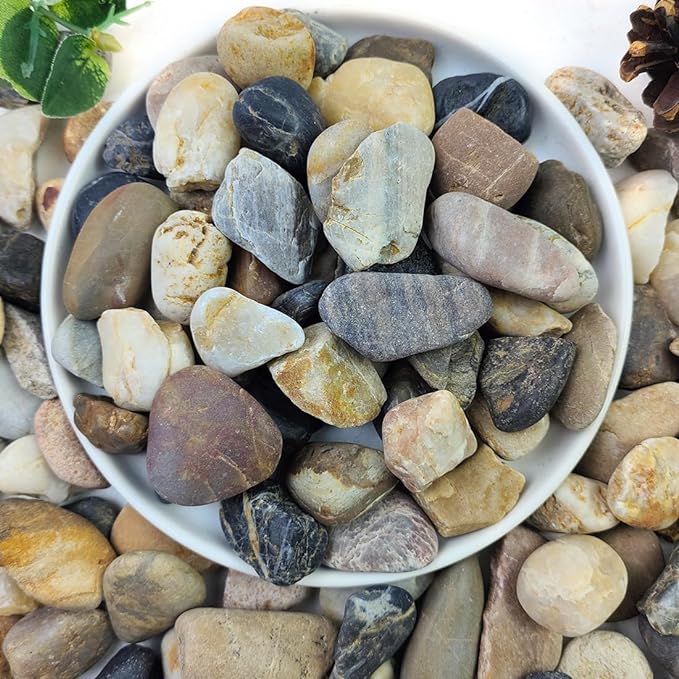 5lbs Aquarium Rocks, 5/8" Natural Mixed Pebbles for Plants Decorative Polished River Rocks for Fish Tank, Landscaping, Gardening, Flower Pots, Vase Fillers, Indoor Water Fountains