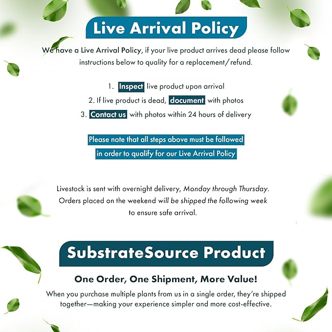 Live Plants – Madagascar Lace Plant (Aponogeton madagascariensis) – Medium to High Light, Light to Dark Green Color, Midground to Background, Lace Leaf - Bulb/Bunch, 1 Pack