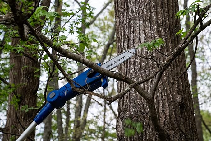 WILD BADGER POWER Cordless Pole Saw 20V 8'' Electric 2.0Ah with Telescoping Pole, 0° to 30° Adjustable Head, Battery and Charger included