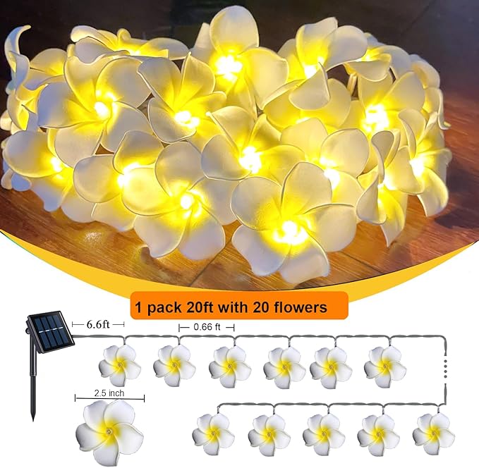 Solar Petunia Blue Morning Glory Flowers and Solar Hawaiian Frangipani Flower String Lights Tropical Flowers