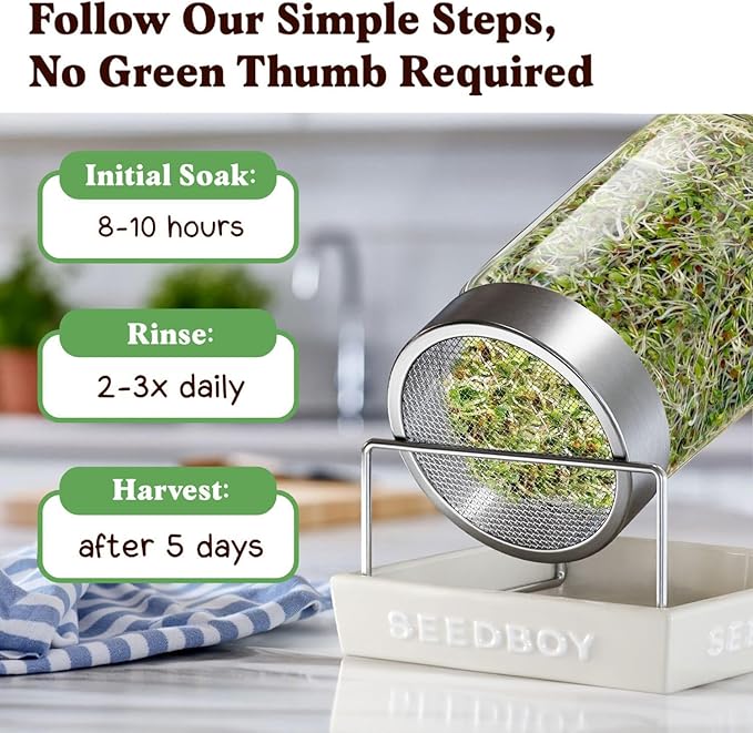 Seedboy Organic Sprouting Seeds - Immune System Booster Blend - Non-GMO, USA Grown - Broccoli, Purple Radish, Alfalfa - Makes 8 Quarts of Sprouts, 24 Servings (8 oz) (Immune System Booster Blend)