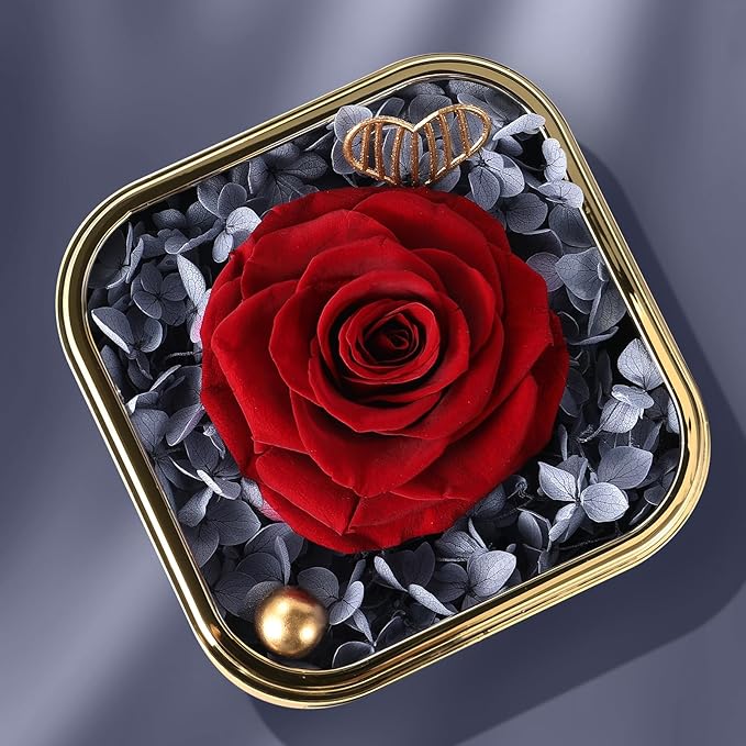 Mikasol Preserved Rose & Heart-Shaped Necklace with Jewelry Box - Preserved Rose, Ideal Romantic Gift for Women, Anniversary, Valentines, Black, 4.9"x4.5"x4.1"