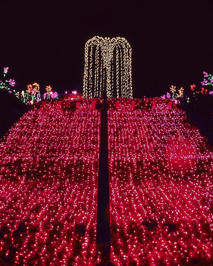 Twinkle Star 4 Pack Outdoor Solar String Lights, Total 160 FT 480 LED Solar Powered Valentines Day Decorative Fairy Lights with 8 Modes, Waterproof Silver Wire Light for Christmas Wedding Party, Red