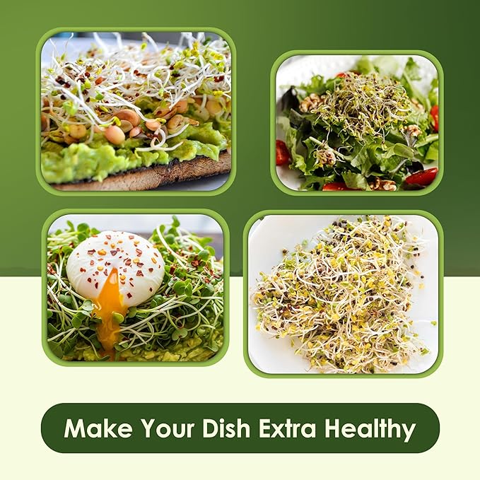 Nature Jims Sprouts Organic Salad Mix – Non-GMO Microgreen Seeds for Growing – Healthy Broccoli, Alfalfa, Radish & Clover Sprouting Variety Blend – Microgreens & Sprouts Seeds for Home Gardening – 1lb