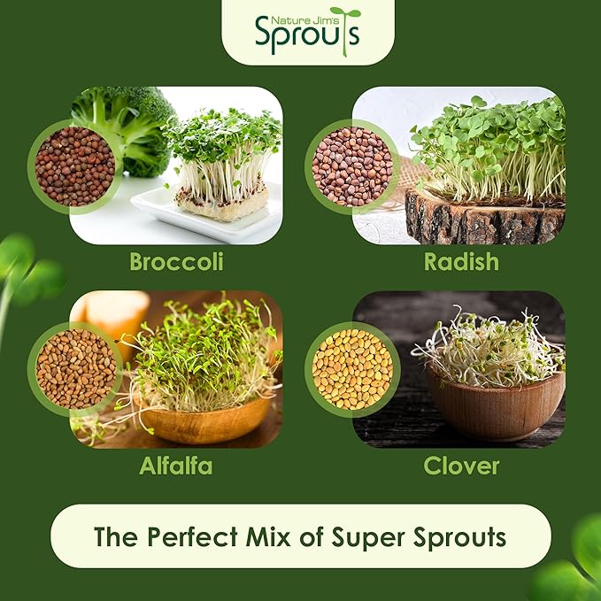 Nature Jims Sprouts Organic Salad Mix – Non-GMO Microgreen Seeds for Growing – Healthy Broccoli, Alfalfa, Radish & Clover Sprouting Variety Blend – Microgreens & Sprouts Seeds for Home Gardening – 1lb