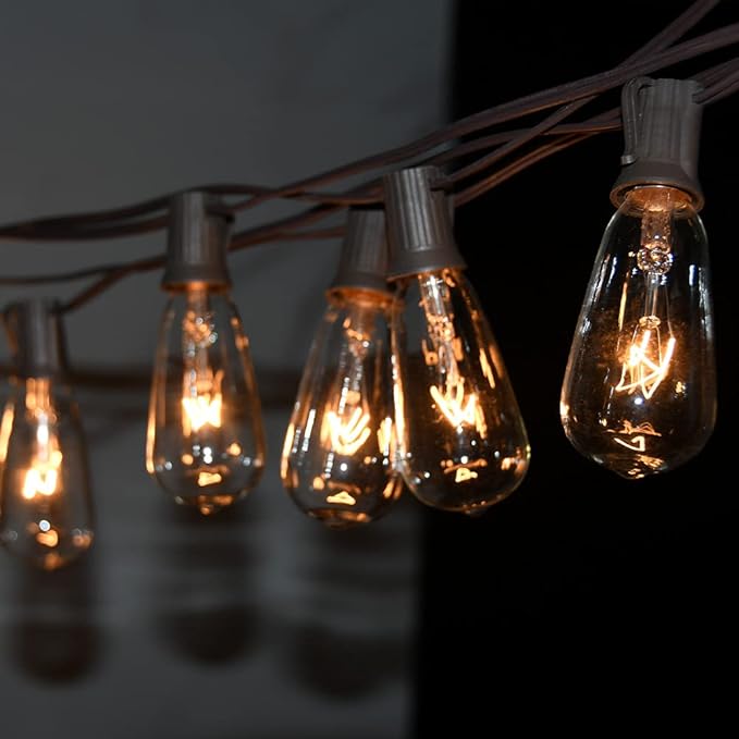 10Ft Outdoor String Lights Waterproof, Hanging Patio Lights with 11 Edison Bulbs (1 Spare), ST40 Vintage Edison Bulbs String Lights for Indoor Garden Backyard Party Wedding Balcony Decor- Black