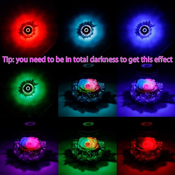 Preserved Real Roses with Colorful Mood Light Wishing Bottle,Eternal Rose，Never Withered Flowers,for Bedroom Party Table Decor, Christmas Anniversary,Valentine's,Mother's Day, (Multi)