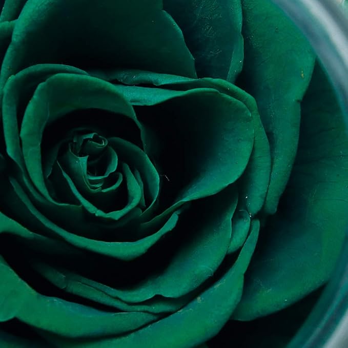 Preserved Real Roses with Colorful Mood Light Wishing Bottle,Eternal Rose，Never Withered Flowers,for Bedroom Party Table Decor, Christmas Decorations,a Gifts for Women 4.3inch1pcs (Green)