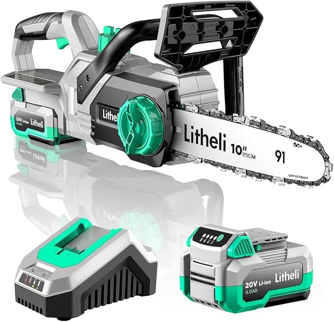 Litheli Cordless Pole Saw & Chainsaw 10-Inch, Battery Powered 20V 2.0Ah Pole Saws & 20V 4.0Ah Chainsaw for Branch, Cutting, Trimming, Electric Saws(Battery & Charger Included)