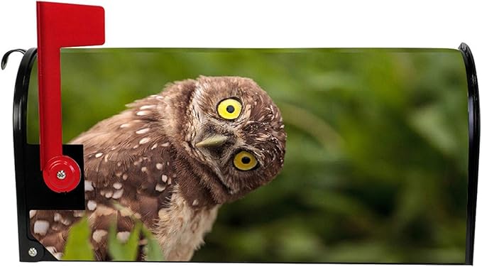 Mailbox Covers Magnetic,Funny Owl Letter Post Box Wraps Cover for Outdoor Garden Yard Decorations Standard Size 18" X 21"