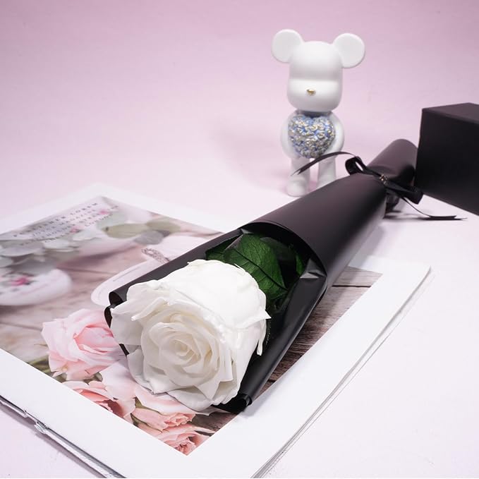 Yamonic Preserved Flowers Rose Gifts for Delivery Prime, Mothers Day Rose Flowers Gifts for Mom, Single Real Flower Birthday Gifts for Her, Women, Grandma, Wife,Girlfriend Gifts for Anniversary(White)