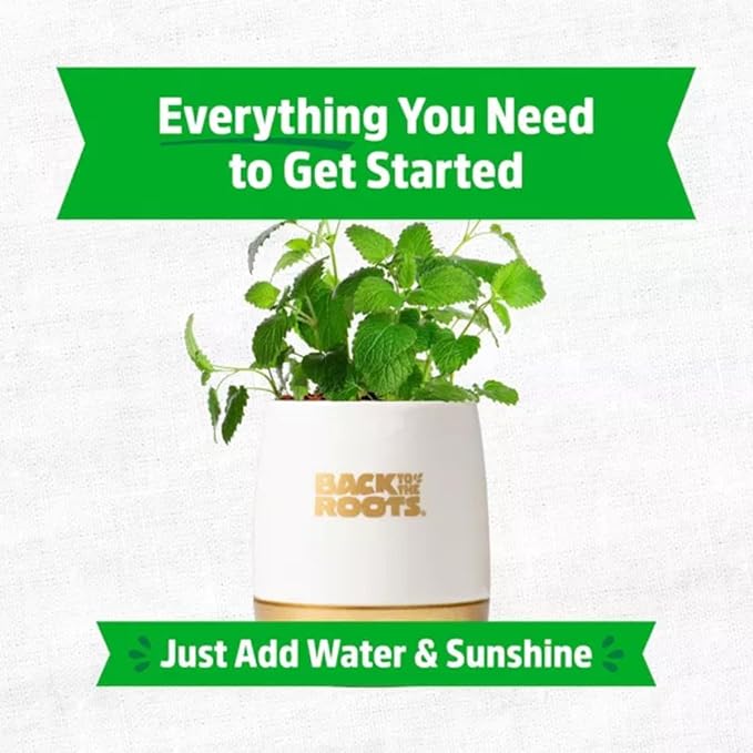 Wellness Grow Kit: Lemon Balm