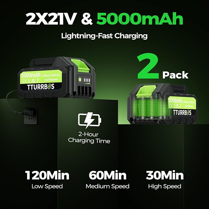 Leaf Blower Cordless - 650CFM Brushless Motor Leaf Blower with 6-Speed Control & Ergonomic Handle - Includes 2 x 5.0Ah Batteries & Fast Charger - Blowers for Lawn Care, Yard, Patio, Leaves, Snow, Dust