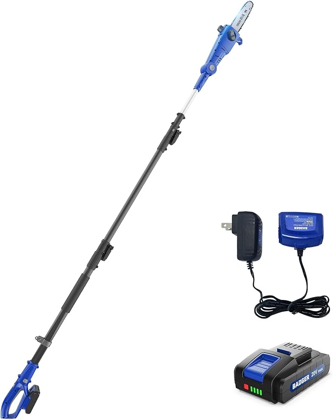 WILD BADGER POWER Cordless Pole Saw 20V 8'' Electric 2.0Ah with Telescoping Pole, 0° to 30° Adjustable Head, Battery and Charger included