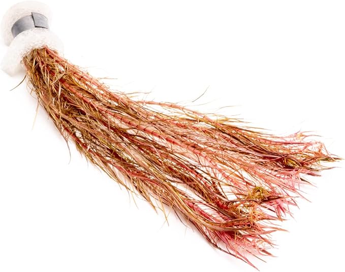 Live Aquarium Stem Plants - Freshwater Aquatic Plant for Fish Tanks, Aquascaping - (Alternanthera Reineckii Variegatus, 1 Bunch)