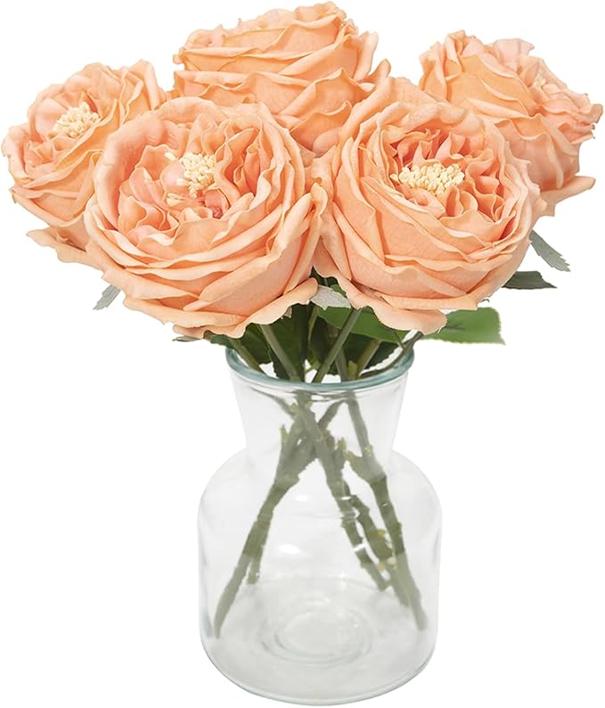 DuHouse 5Pcs Silk Roses Fake White Roses with Stems Real Touch Rose Artificial Flowers for Arrangement Wedding Party Home Decoration(Peach Fuzz)