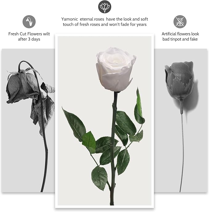 Yamonic Preserved Flowers Rose Gifts for Delivery Prime, Mothers Day Rose Flowers Gifts for Mom, Single Real Flower Birthday Gifts for Her, Women, Grandma, Wife,Girlfriend Gifts for Anniversary(White)