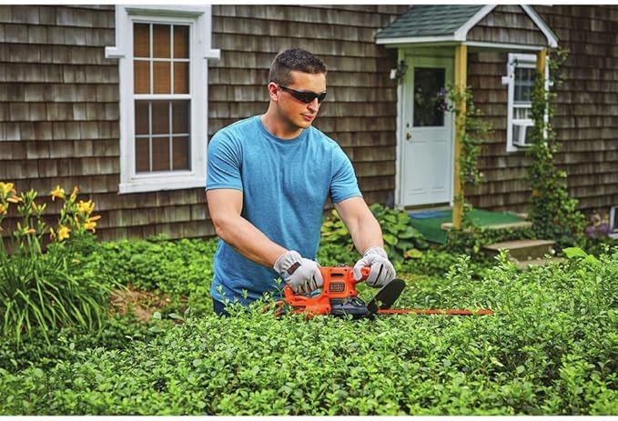 BLACK+DECKER Electric Hedge Trimmer, 16-Inch (BEHT100)