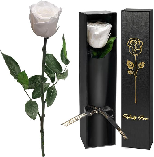 Yamonic Preserved Flowers Rose Gifts for Delivery Prime, Mothers Day Rose Flowers Gifts for Mom, Single Real Flower Birthday Gifts for Her, Women, Grandma, Wife,Girlfriend Gifts for Anniversary(White)