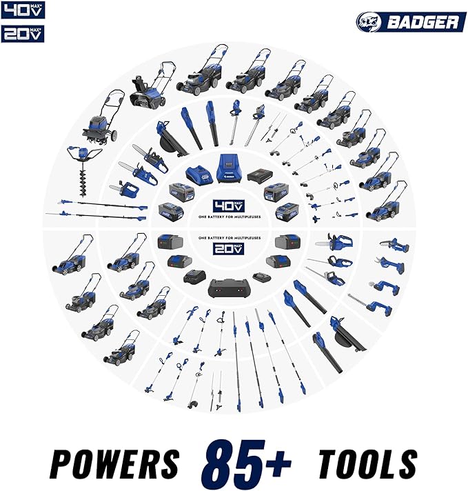 WILD BADGER POWER Cordless Pole Saw 20V 8'' Electric 2.0Ah with Telescoping Pole, 0° to 30° Adjustable Head, Battery and Charger included