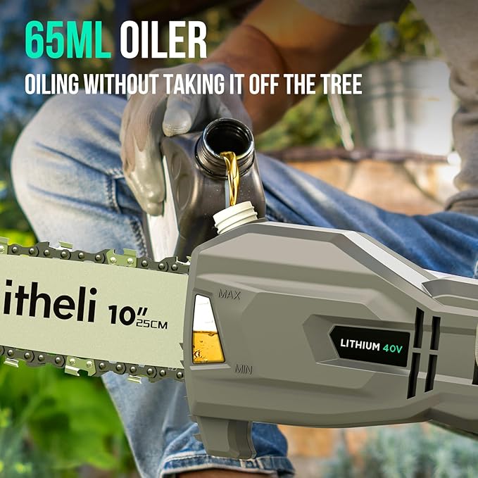 Litheli Cordless Pole Saw & Chainsaw 10-Inch, Battery Powered 20V 2.0Ah Pole Saws & 20V 4.0Ah Chainsaw for Branch, Cutting, Trimming, Electric Saws(Battery & Charger Included)