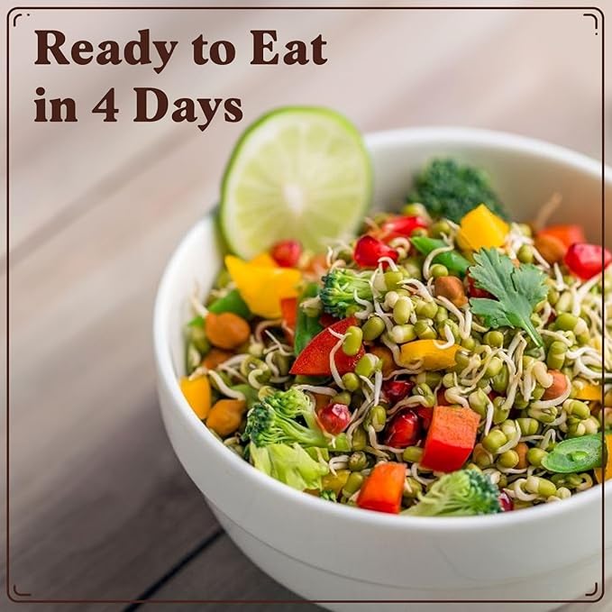 Seedboy Organic Mung Bean Seeds for Sprouting - Non-GMO, USDA Organic Sprouting Seeds Mix - Makes 5 Quarts of Sprouts, 15 Servings (8 oz) (Mung Bean)