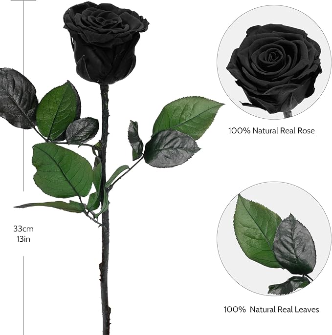 Yamonic Preserved Flowers Rose Gifts for Mom Grandma, Mom Birthday Gifts for Women, Mothers Day Real Flower Rose Gifts for Mom, Her, Wife, Girlfriend Gifts on Christmas,Valentine's Day, Anniversary