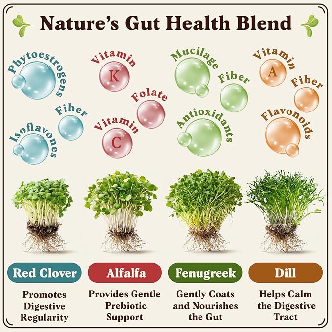 Seedboy Organic Sprouting Seeds - Gut Health Blend - Non-GMO, USA Grown Microgreens Mix - Clover, Alfalfa, Fenugreek, Dill - Makes 8 Quarts of Sprouts, 24 Servings (8 oz) (Gut Health Blend)