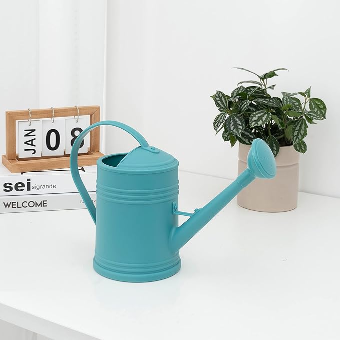 Watering Can for Indoor Plants, Flower Watering Can, Plastic Water Can for Plants, Indoor Watering Can with Sprinkler Head 68 oz, 1/2 Gallons
