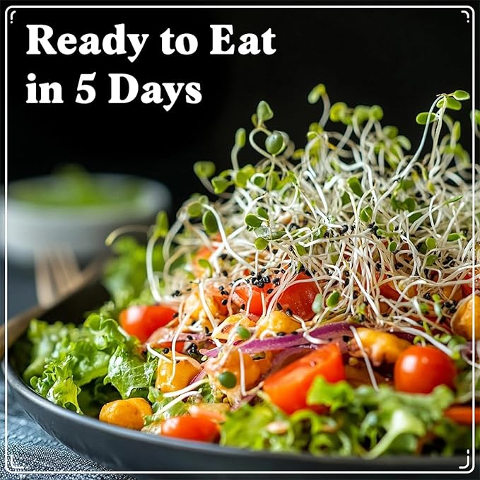 Seedboy Organic Sprouting Seeds - Immune System Booster Blend - Non-GMO, USA Grown - Broccoli, Purple Radish, Alfalfa - Makes 8 Quarts of Sprouts, 24 Servings (8 oz) (Immune System Booster Blend)