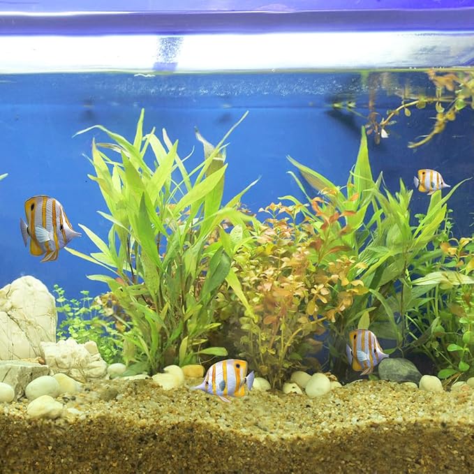 20lbs Aquarium Gravel, 1/16"(0.6-1.2mm) Natural River Rocks Succulent Cactus Pea Gravel for Plants, Fish Tank, Decorative Pebbles for Gardening, Flower Pots, Vase Fillers, Landscaping