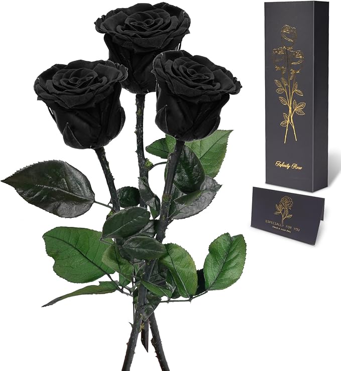 Yamonic Preserved Flowers Rose Gifts for Mom Grandma, Mom Birthday Gifts for Women, Mothers Day Real Flower Rose Gifts for Mom, Her, Wife, Girlfriend Gifts on Christmas,Valentine's Day, Anniversary