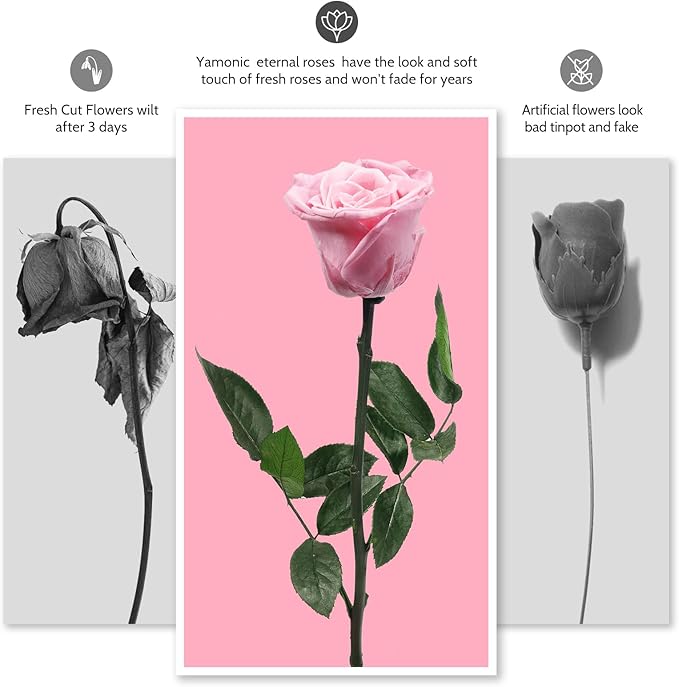 Yamonic Preserved Flowers Rose Gifts for Women Mom, Mothers Day Rose Flowers Gifts for Mom, Real Flower Birthday Mom Gifts for Grandma, Wife,Girlfriend, for Valentine's Day,Anniversary