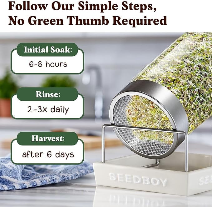 Seedboy Organic Broccoli Seeds for Sprouting - Non-GMO, USA Grown Microgreens Sprouting Seeds Mix - Makes 8 Quarts of Sprouts, 24 Servings (8 oz) (Di Cicco Broccoli)