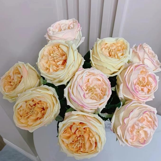 DuHouse 5Pcs Silk Roses Fake Champagne Roses with Stems Real Touch Rose Artificial Flowers for Arrangement Wedding Party Home Decoration