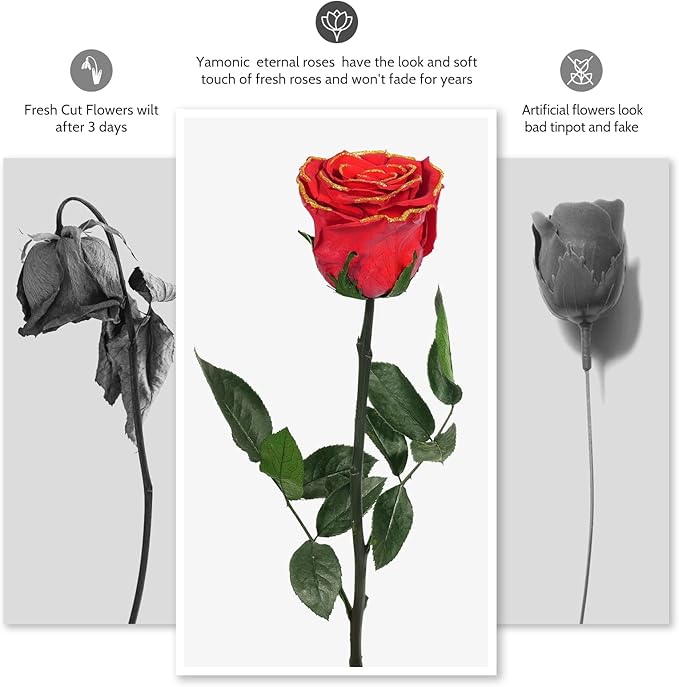 Yamonic Rose Gifts for Women, Mothers Day Rose Flowers Gifts for Mom, Real Flower Birthday Gifts for Women,Grandma,Girlfriend,Christmas,Valentine's Day,Anniversary,Preserved Flowers for Delivery Prime