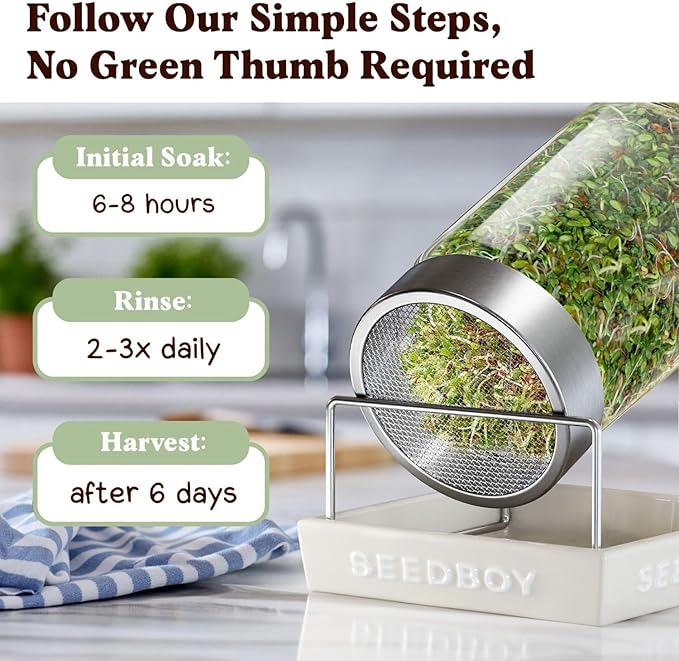 Seedboy Organic Sprouting Seeds - Gut Health Blend - Non-GMO, USA Grown Microgreens Mix - Clover, Alfalfa, Fenugreek, Dill - Makes 8 Quarts of Sprouts, 24 Servings (8 oz) (Gut Health Blend)